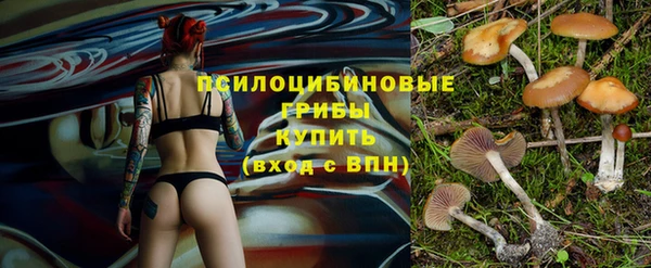 ешки Михайловка