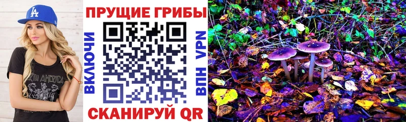 Псилоцибиновые грибы Magic Shrooms площадка какой сайт Карабаш